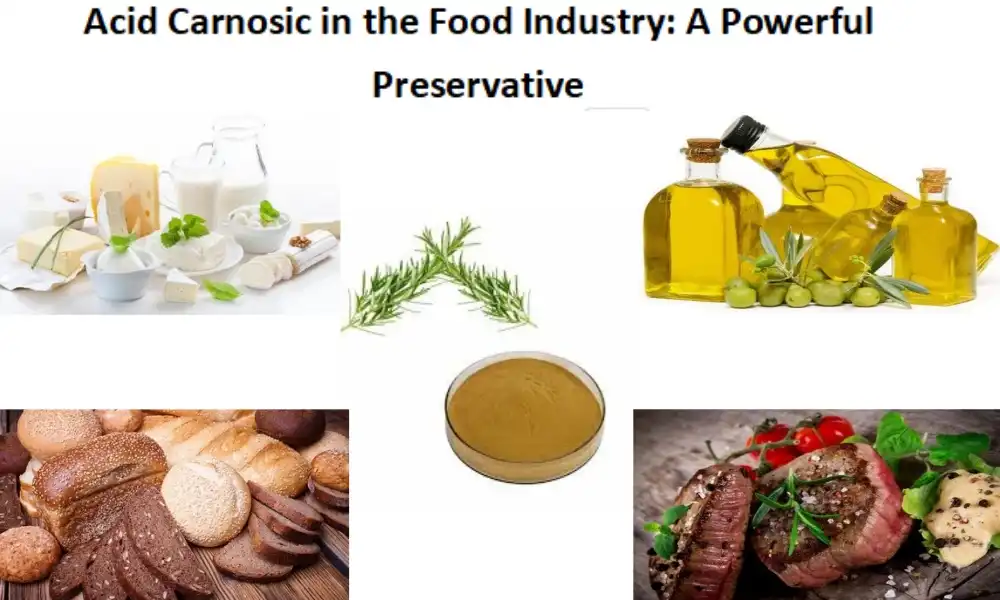 Acid Carnosic in the Food Industry: A Powerful Preservative